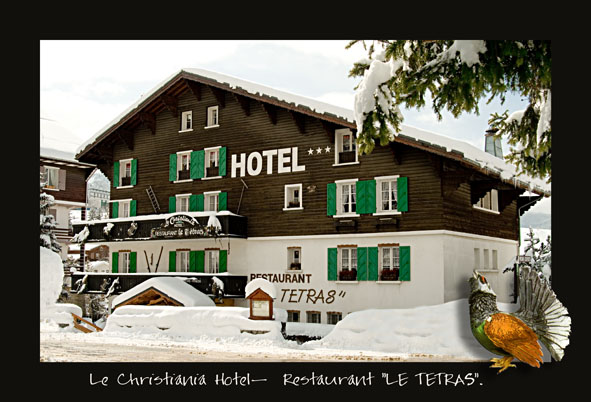 Reservation d'hotel à Villard-de-Lans