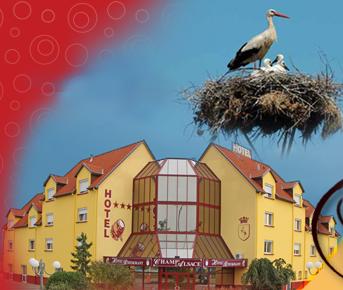 Reservation d'hotel à Haguenau