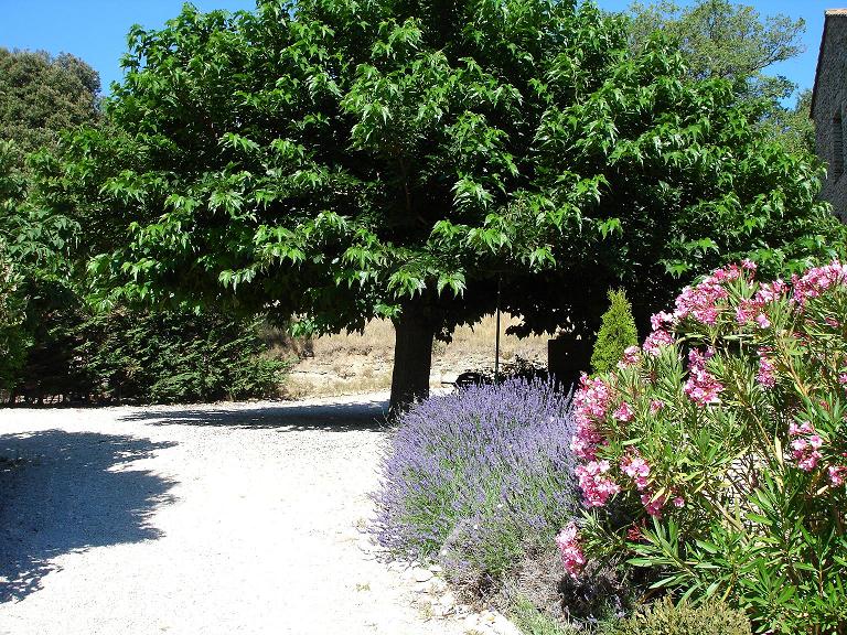 Reservation d'hotel à La Roque-sur-Pernes