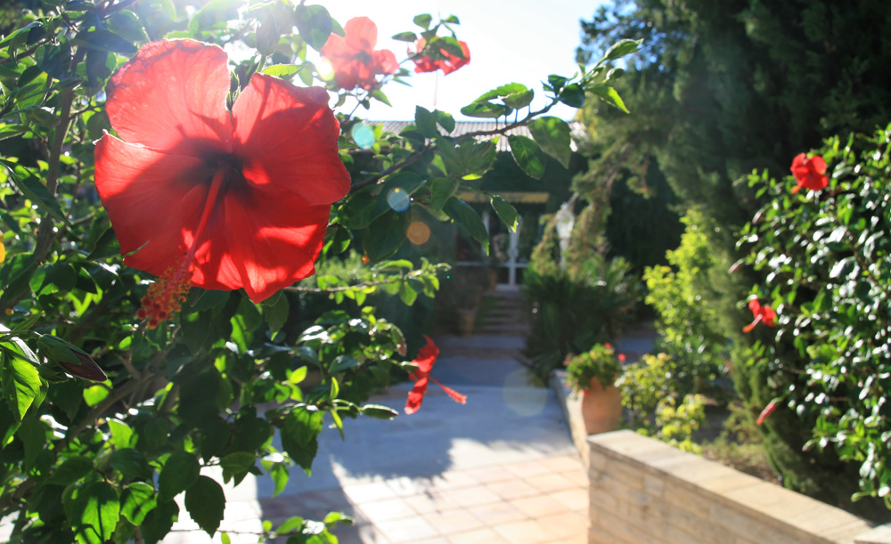 Reservation d'hotel à Beaumont-de-Pertuis