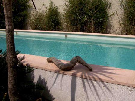 Reservation d'hotel à Narbonne-Plage