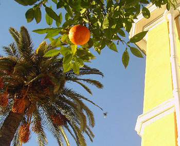 Reservation d'hotel à Nice
