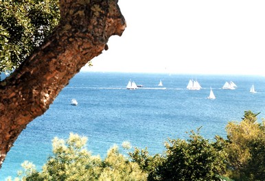 Reservation d'hotel à Sainte-Maxime