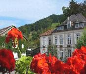 logis hotel la residence, le val-d'ajol