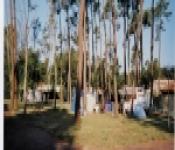 residence madame vacances sous les pins, la tremblade