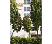 hebergement suitehotel nancy, nancy
