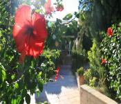 hebergement hotel sevan best western, beaumont-de-pertuis