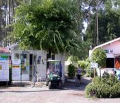hebergement camping l'arbre d'or, parentis-en-born
