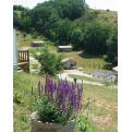 camping domaine du bourdieu, durfort