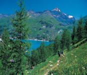 residence maeva les arolles, villard-de-lans